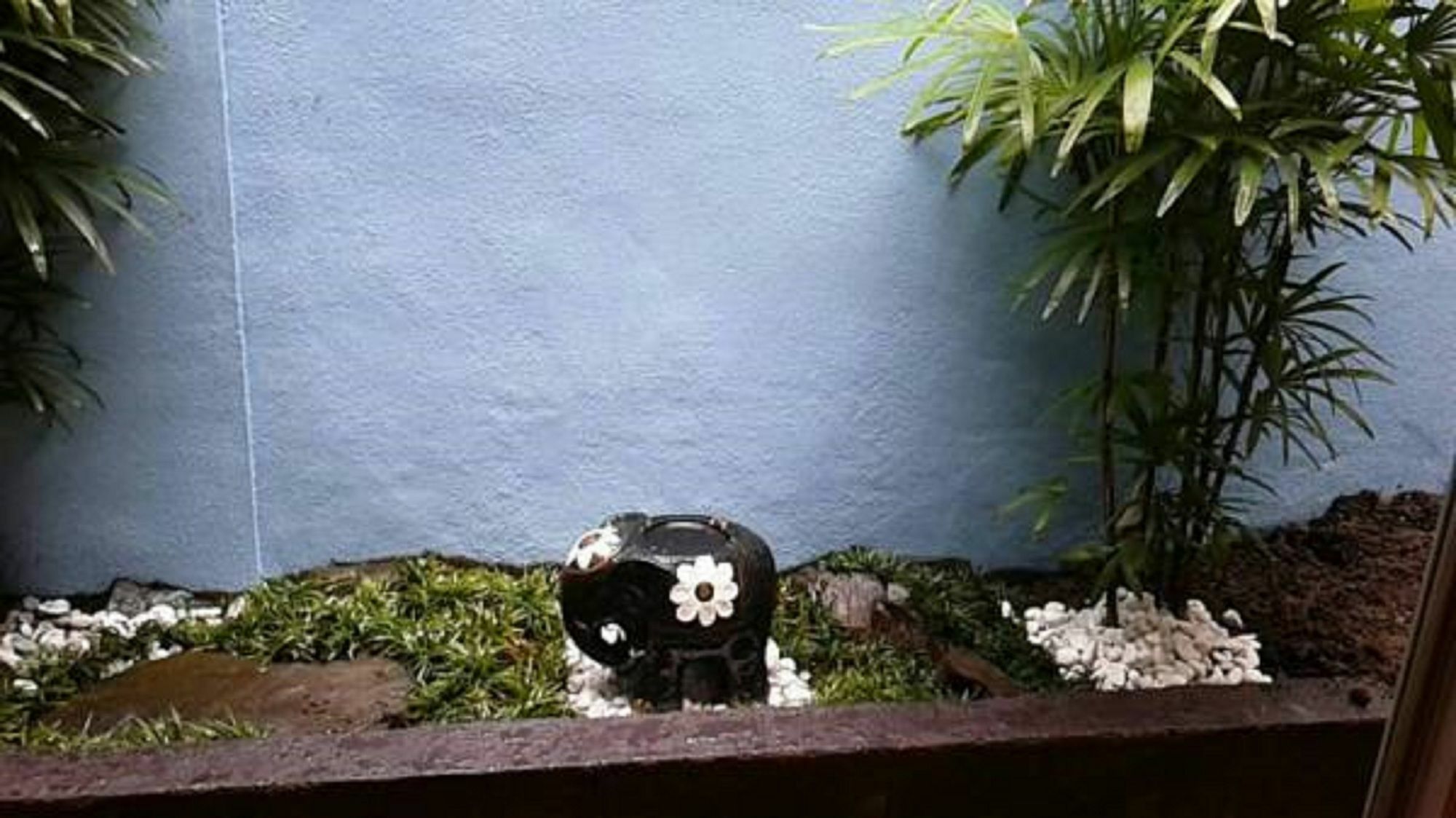 Villa Azzurro Elefante Kyōto Esterno foto